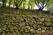 津和野城 石垣 津和野城 石垣