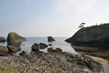 越前松島