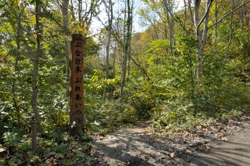 ぶな巨木ふれあいの径 ぶな巨木