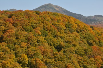 八甲田山 八甲田山