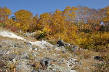 三十三観音 三十三観音