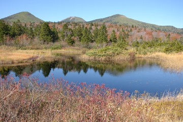 八甲田連峰 睡蓮沼