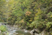 暗門の滝歩道 暗門の滝歩道