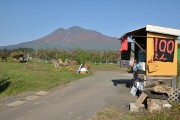 岩木山とリンゴ畑 岩木山とリンゴ畑
