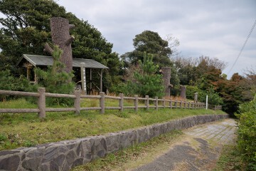 関の五本松 関の五本松