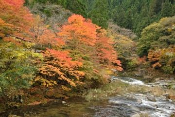 奥津渓 奥津渓