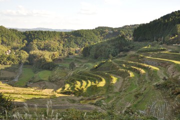 北庄棚田 北庄棚田