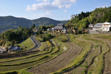 上籾棚田 上籾棚田