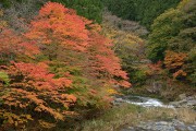 奥津渓 奥津渓