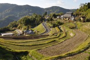 上籾棚田 上籾棚田