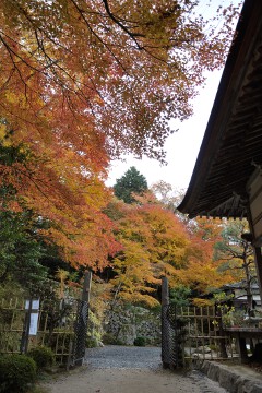 入口 百済寺