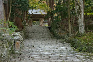 表参道の石段 表参道
