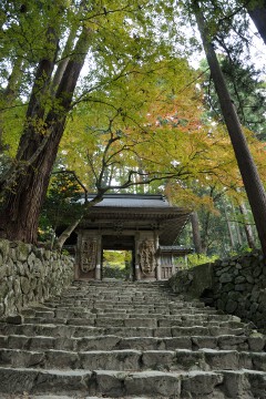 表参道の石段 表参道