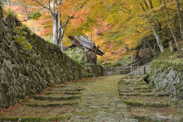 表参道 百済寺