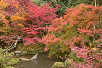 名勝庭園 名勝庭園