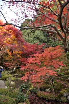 名勝庭園 名勝庭園