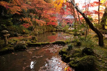 池 名勝庭園