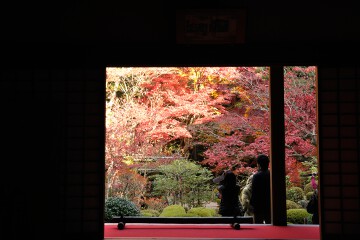 明寿院 明寿院
