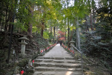 参道 参道