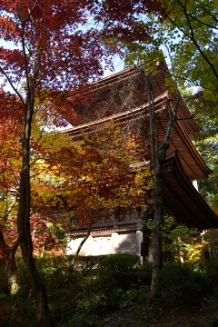 三重塔 金剛輪寺