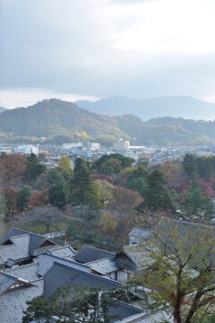 眺め 眺め