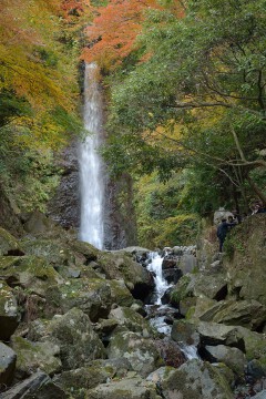 養老の滝 養老の滝