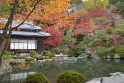 庭園 庭園
