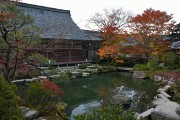 本坊 庭園