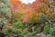 庭園 百済寺