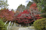 庭園 百済寺