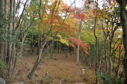 山 百済寺