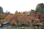 広場 百済寺