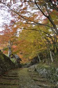 表参道 百済寺