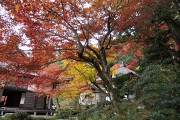明寿院 明寿院