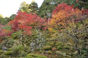 名勝庭園 名勝庭園