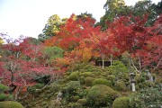 名勝庭園 名勝庭園