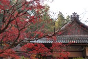 名勝庭園 名勝庭園