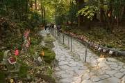 参道 金剛輪寺