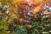 庭園 庭園