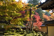 庭園 庭園