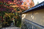 惣門へ続く 紅葉