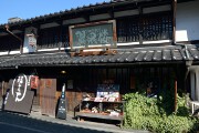 翼果楼