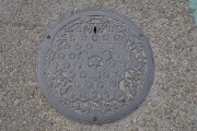 市章と市の木「たちばな」 マンホール彦根市