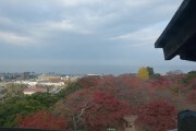 眺め 眺め