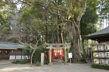 常磐稲荷神社 常磐稲荷神社