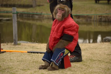 るいーじ Luiji 10歳 モンキーエンターテイメント