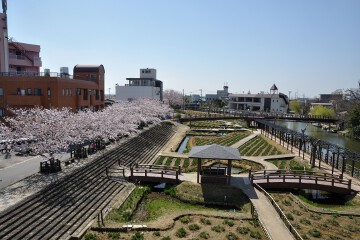 水郷潮来あやめ園