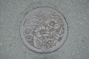 マンホール 三陸町（現・大船渡市）／ツバキとカモメ