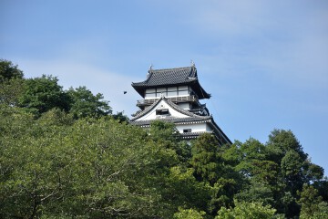 犬山城 犬山城
