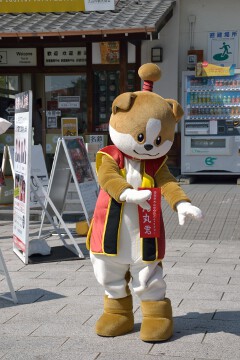 わん丸君 わん丸君